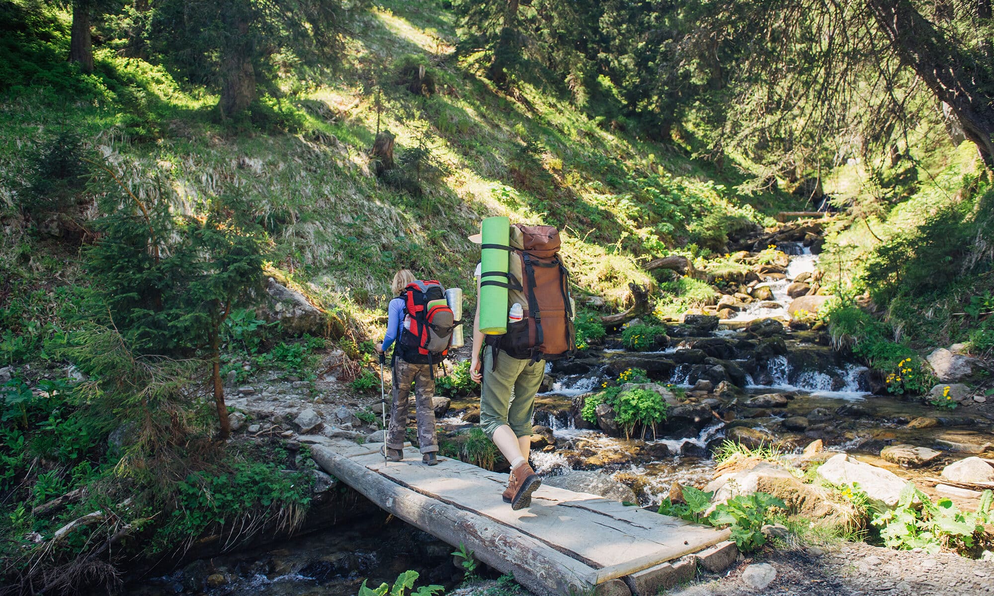 People hiking on a trail