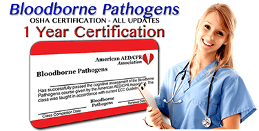 Group Discounts on Online Bloodborne Pathogens training class - 1 year certification. First time or renewal.