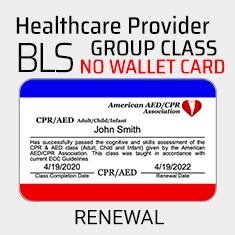 Healthcare Provider BLS - Full Class
